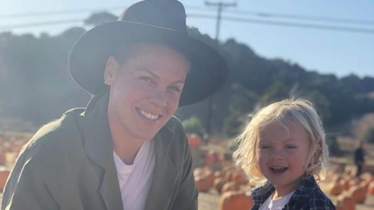 La cantante Pink y su hijo de 3 años dieron positivo a coronavirus la-cantante-pink-y-su-hijo-de-3-anos-dieron-positivo-a-coronavirus